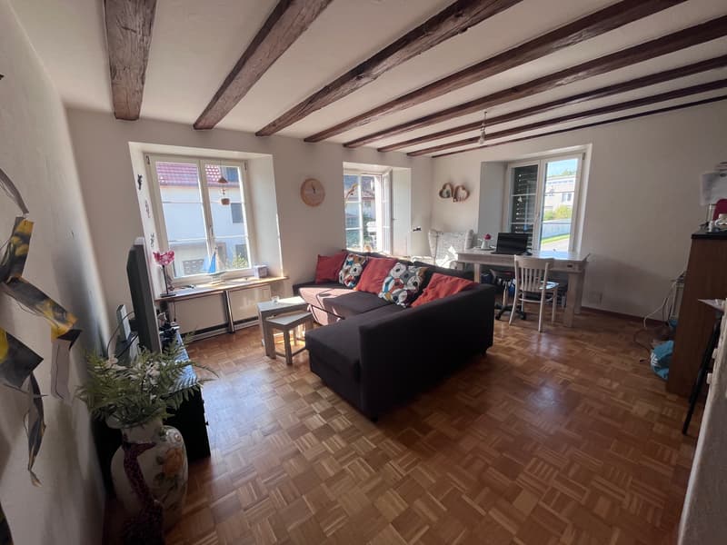 2½ ZI-WOHNUNG IN HOMBRECHTIKON (ZH), MÖBLIERT, TEMPORÄR (1)