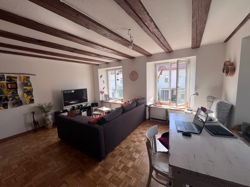2½ ZI-WOHNUNG IN HOMBRECHTIKON (ZH), MÖBLIERT, TEMPORÄR (2)