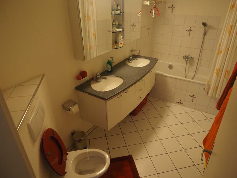 3½ ZI-WOHNUNG IN WINTERTHUR - SEEN, MÖBLIERT, TEMPORÄR (7)