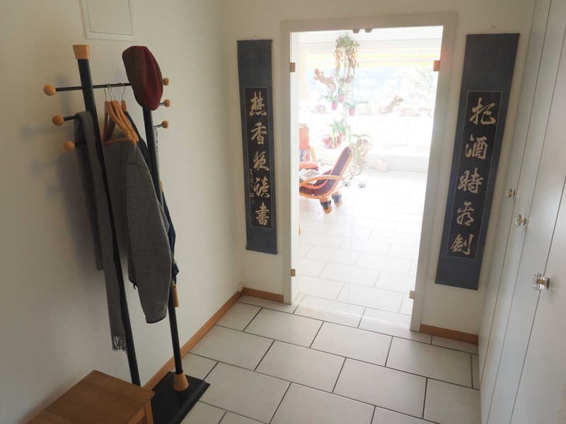 3½ ZI-WOHNUNG IN WINTERTHUR - SEEN, MÖBLIERT, TEMPORÄR (4)