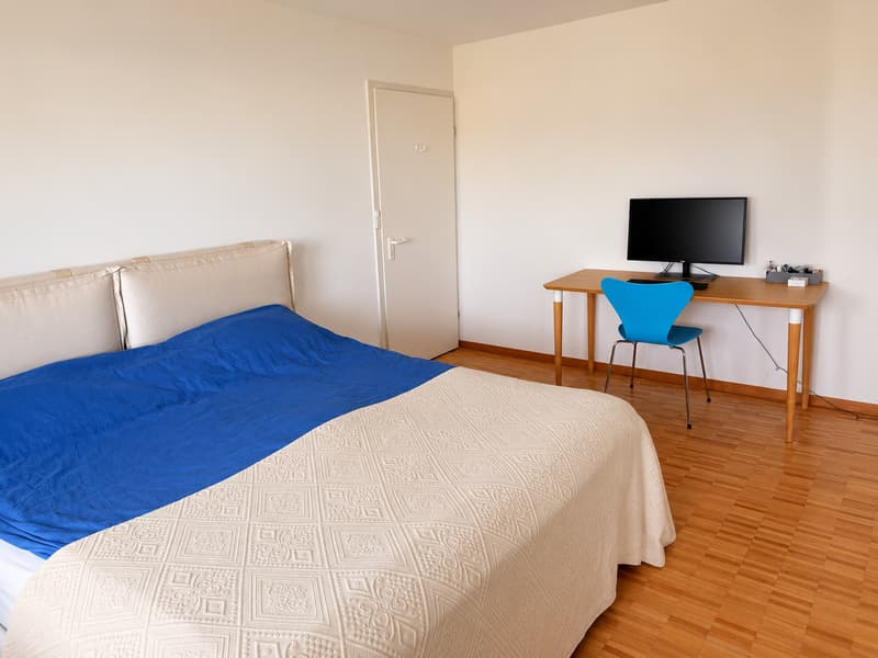 5 ZI-WOHNUNG IN RÜSCHLIKON (ZH), MÖBLIERT, TEMPORÄR (5)
