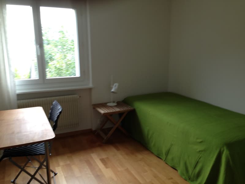 3½ ZI-WOHNUNG IN MORGARTEN (ZG), MÖBLIERT, TEMPORÄR (6)