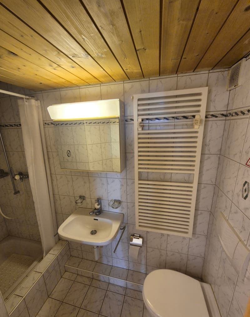 1½ ZI-WOHNUNG IN TAMINS (GR), MÖBLIERT, TEMPORÄR (4)