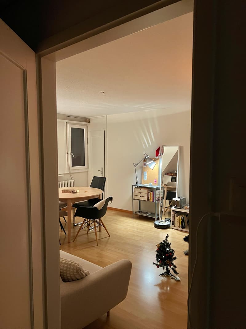 2½ ZIMMER-DACHWOHNUNG IN ST. GALLEN, MÖBLIERT (2)