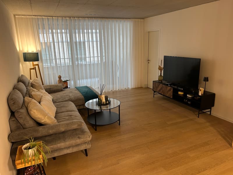 2½ ZI-WOHNUNG IN WALLISELLEN (ZH), MÖBLIERT, TEMPORÄR (1)