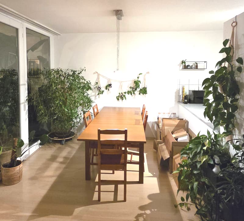 4½ ZI-WOHNUNG IN ZÜRICH - KREIS 11 AFFOLTERN, MÖBLIERT, TEMPORÄR (3)