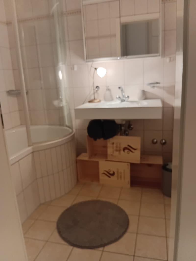 4½ ZI-WOHNUNG IN IPSACH (BE), MÖBLIERT, TEMPORÄR (5)