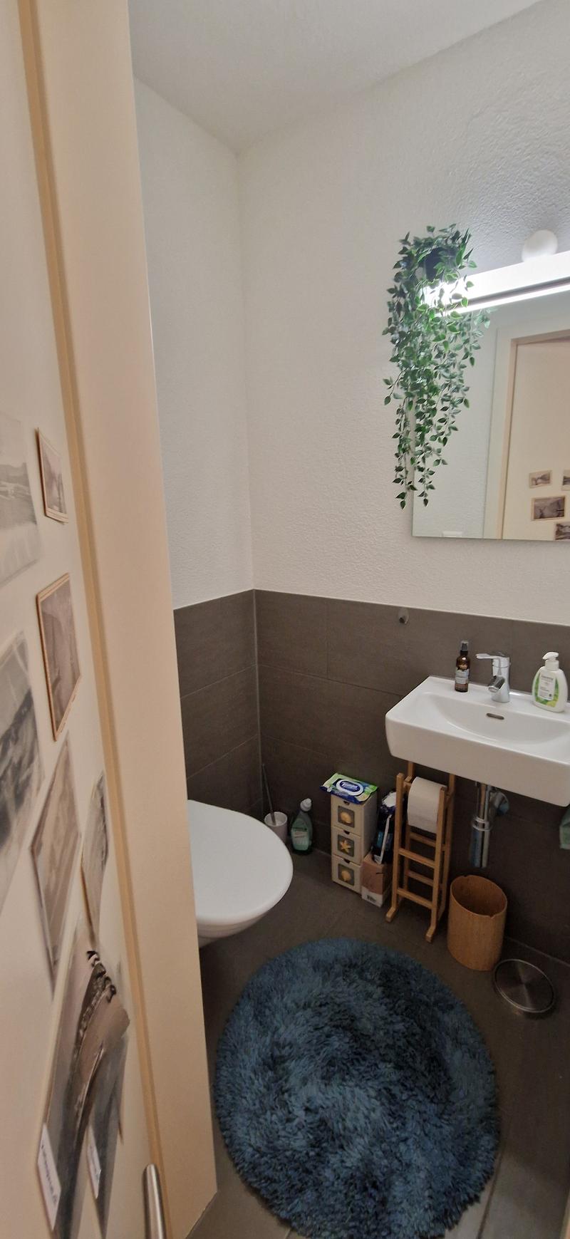 3½ ZI-WOHNUNG IN NEUENHOF (AG), MÖBLIERT, TEMPORÄR (6)