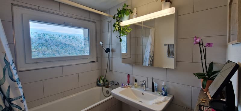 3½ ZI-WOHNUNG IN NEUENHOF (AG), MÖBLIERT, TEMPORÄR (5)