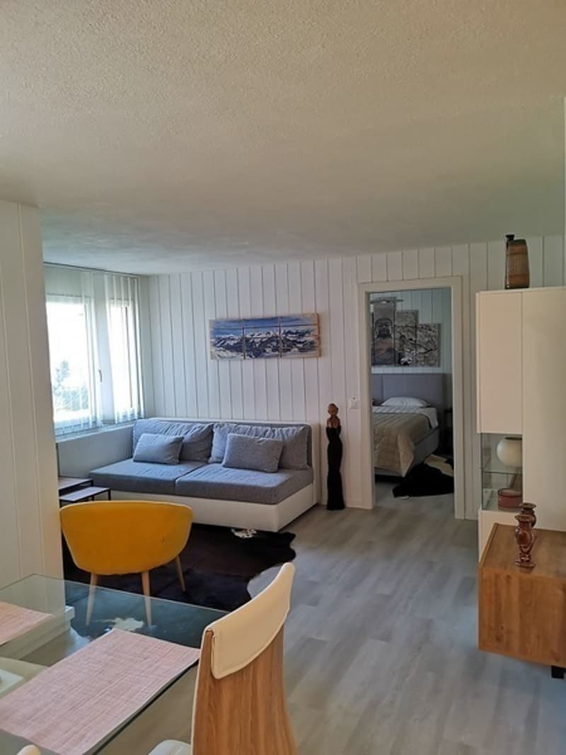 2 ZI-WOHNUNG IN MERLISCHACHEN (SZ), MÖBLIERT, TEMPORÄR (4)