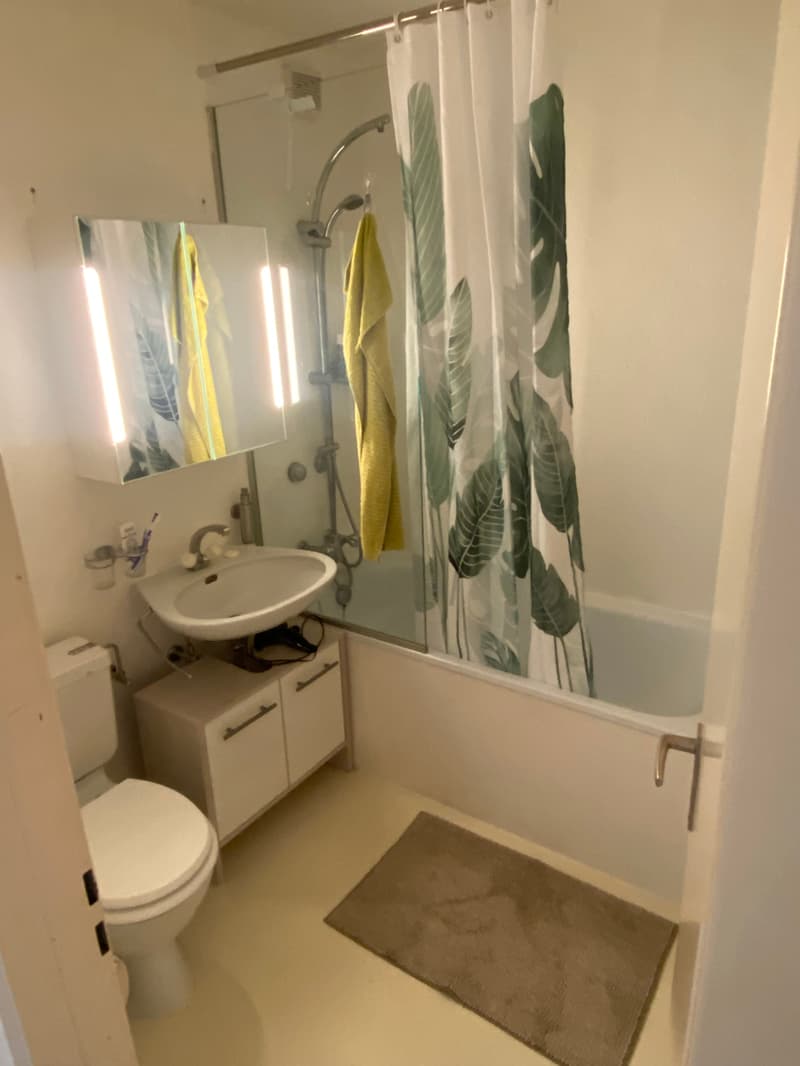 2½ ZI-WOHNUNG IN MÖNCHALTORF (ZH), MÖBLIERT, TEMPORÄR (7)