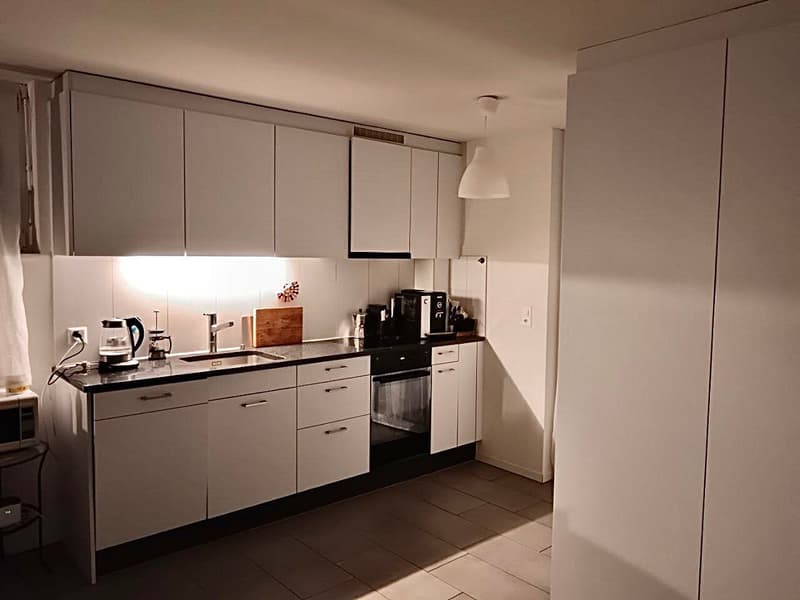 2½ ZI-WOHNUNG IN ZÜRICH - KREIS 11 OERLIKON, MÖBLIERT, TEMPORÄR (4)