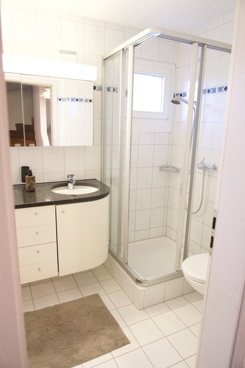 6½ ZIMMER-HAUS IN BERIKON (AG), MÖBLIERT, TEMPORÄR (9)
