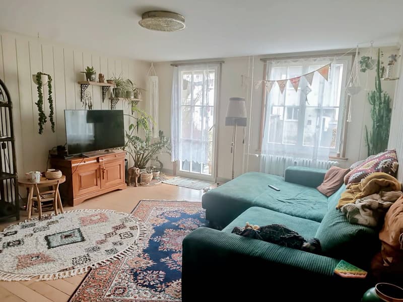3½ ZI-WOHNUNG IN WINTERTHUR - VELTHEIM, MÖBLIERT, TEMPORÄR (1)