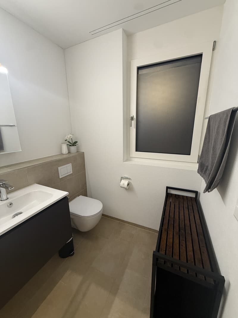 3½ ZI-WOHNUNG IN ZELL (LU), MÖBLIERT, TEMPORÄR (8)