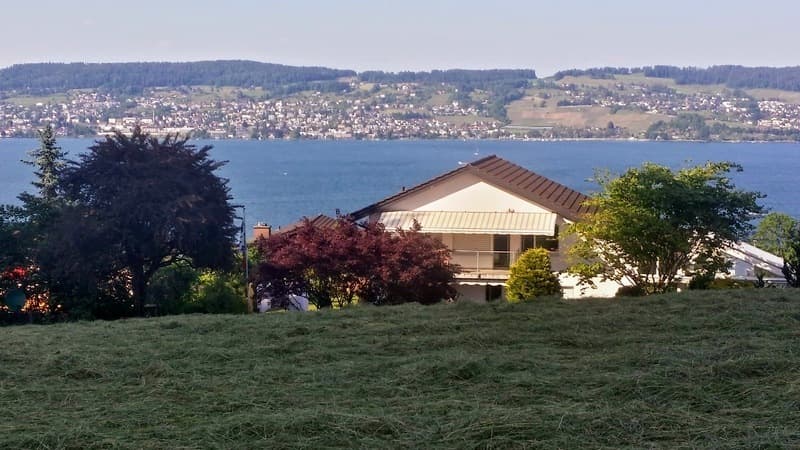 4½ ZIMMER-HAUS IN WÄDENSWIL (ZH), MÖBLIERT, TEMPORÄR (9)