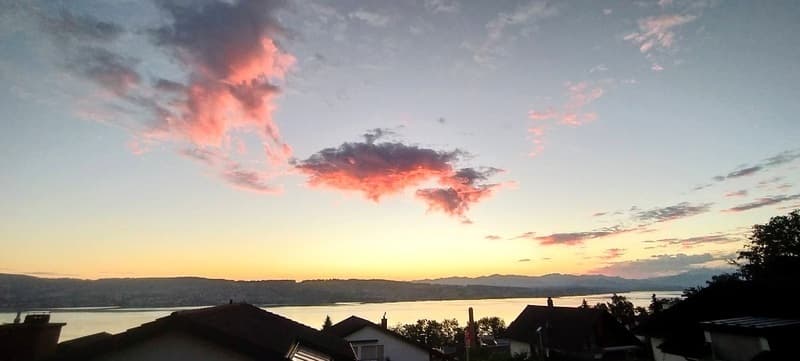 4½ ZIMMER-HAUS IN WÄDENSWIL (ZH), MÖBLIERT, TEMPORÄR (8)