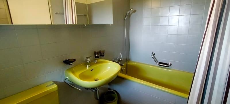 4½ ZIMMER-HAUS IN WÄDENSWIL (ZH), MÖBLIERT, TEMPORÄR (6)