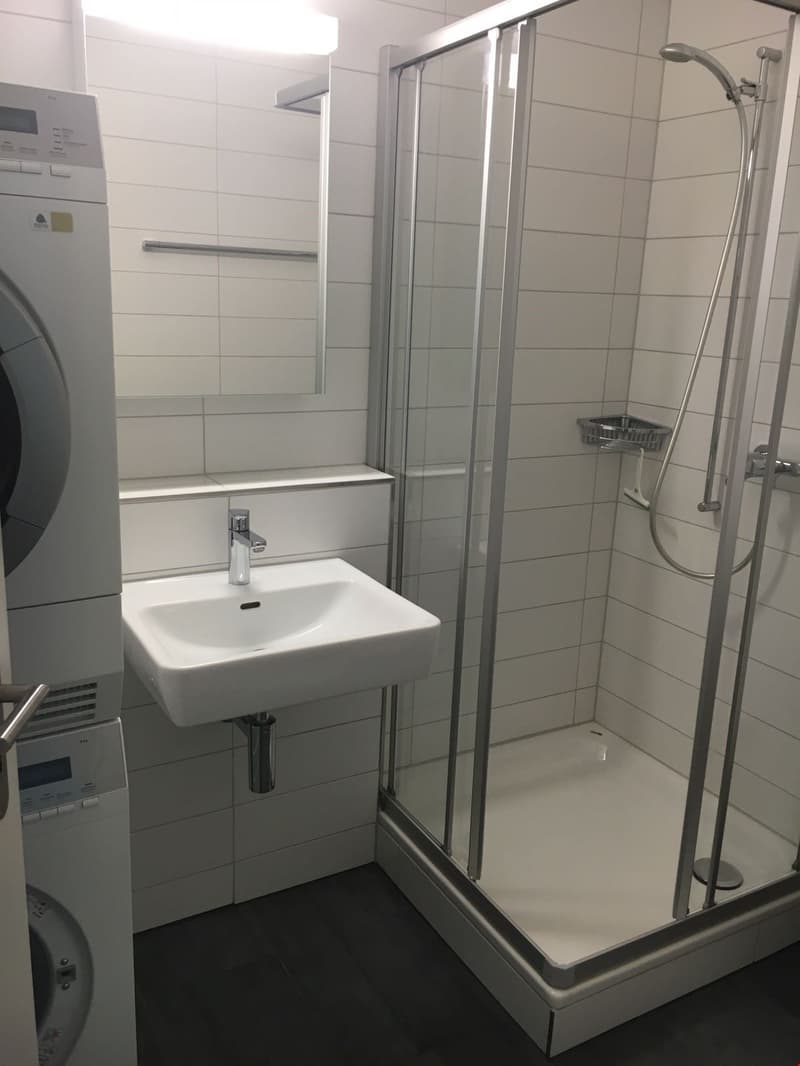Moderne 4.5-Zimmerwohnung im Erdgeschoss (6)