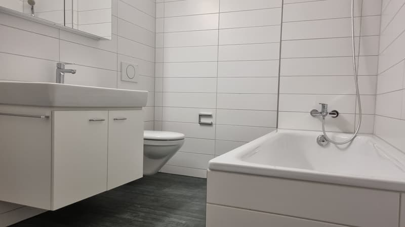 Helle und moderne 4.5-Zimmerwohnung (4)