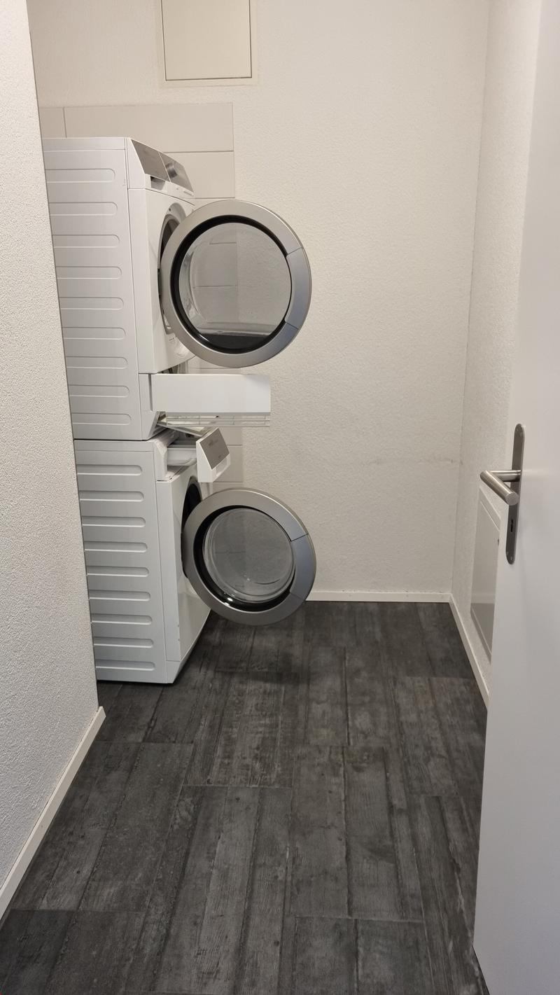 Helle und moderne 4.5-Zimmerwohnung (3)