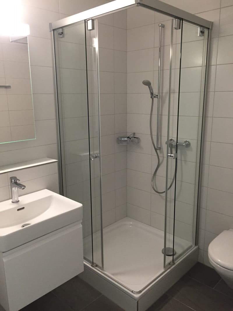 3.5-Zimmer-Attikawohnung (7)