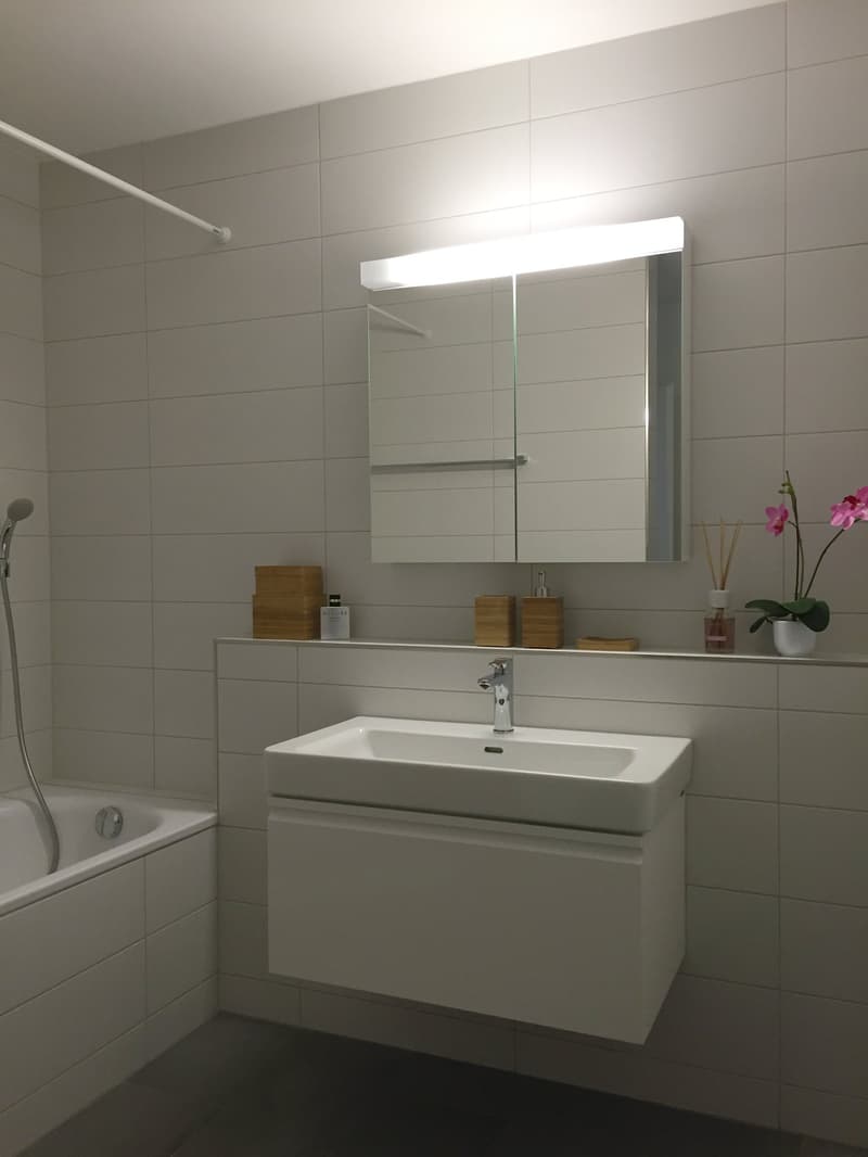 3.5-Zimmer-Attikawohnung (6)