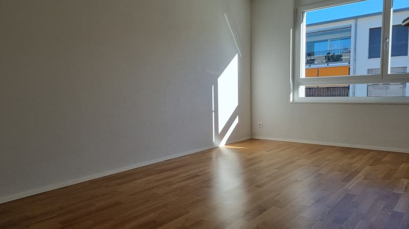 3.5-Zimmer-Attikawohnung (4)