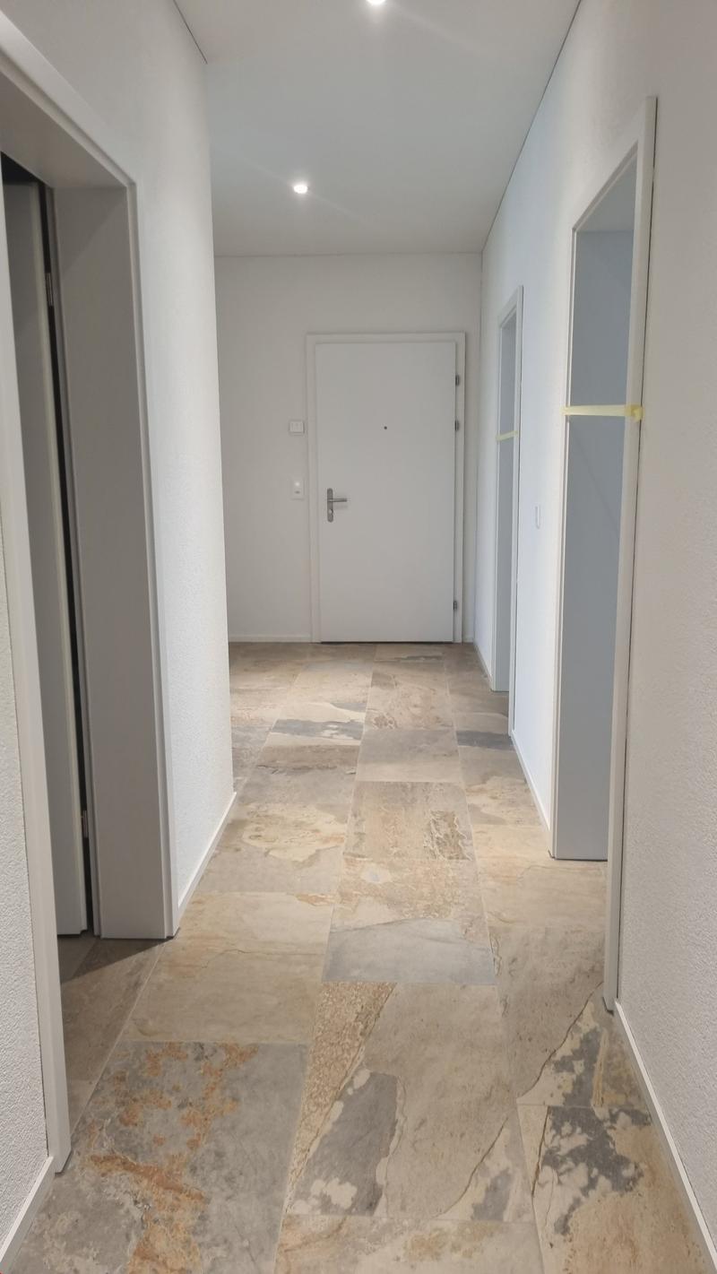 Moderne 4.5-Zimmerwohnung (8)
