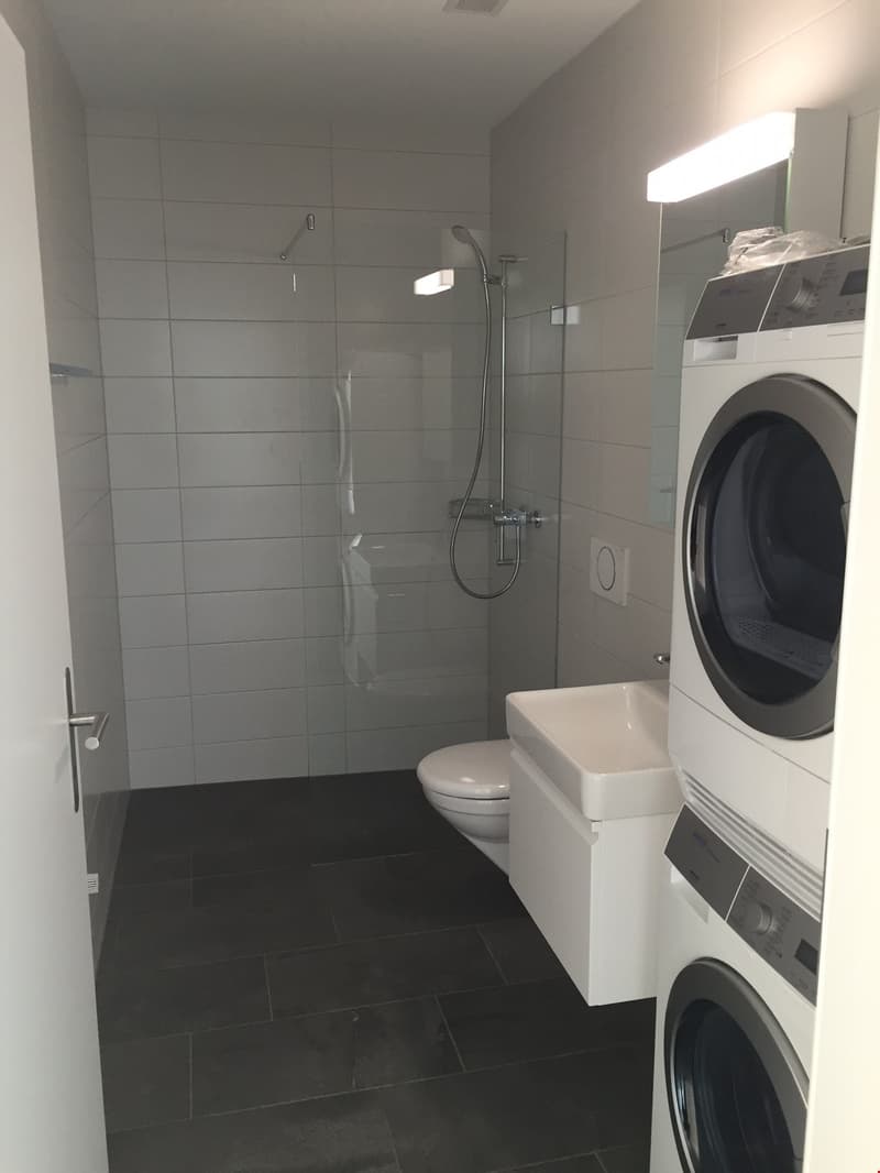 Moderne 2.5-Zimmerwohnung im Erdgeschoss (3)