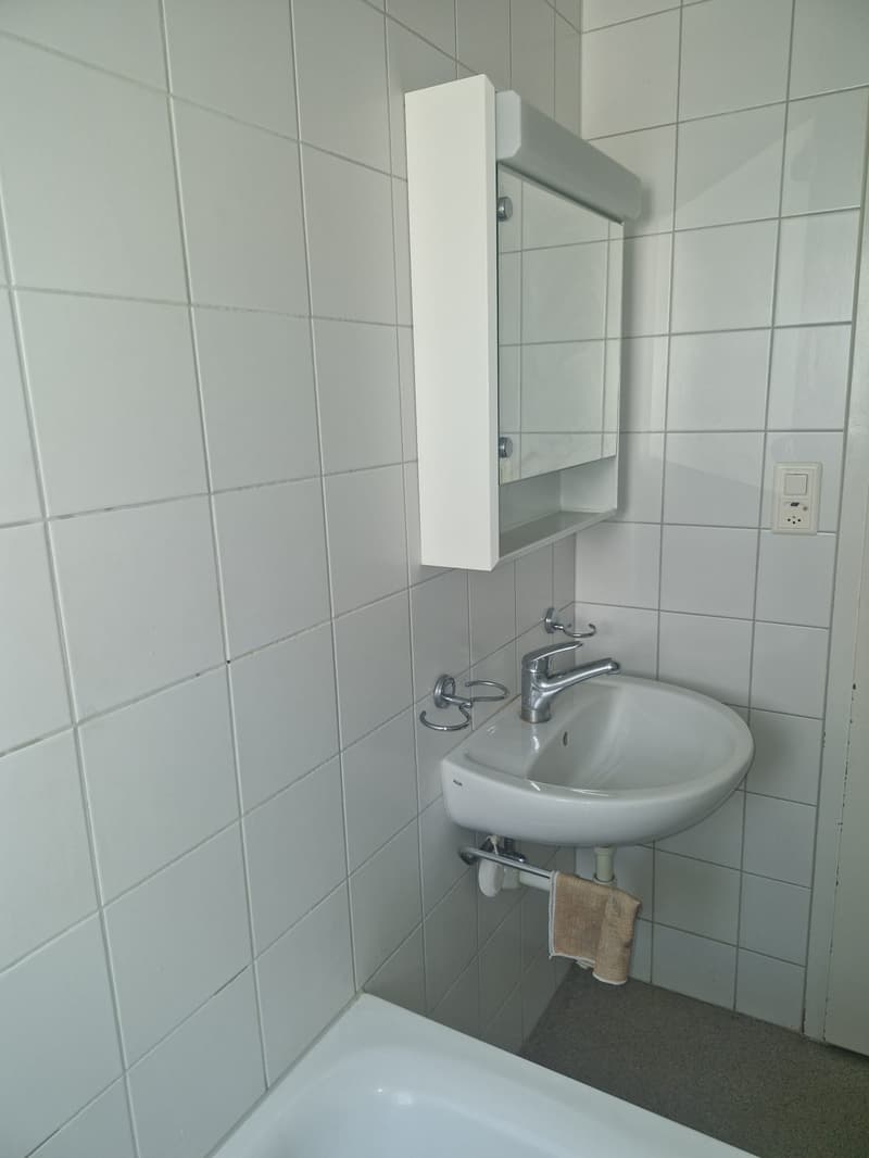 Sonnige 3.5-Zimmerwohnung im Hochparterre in Aarennähe (7)