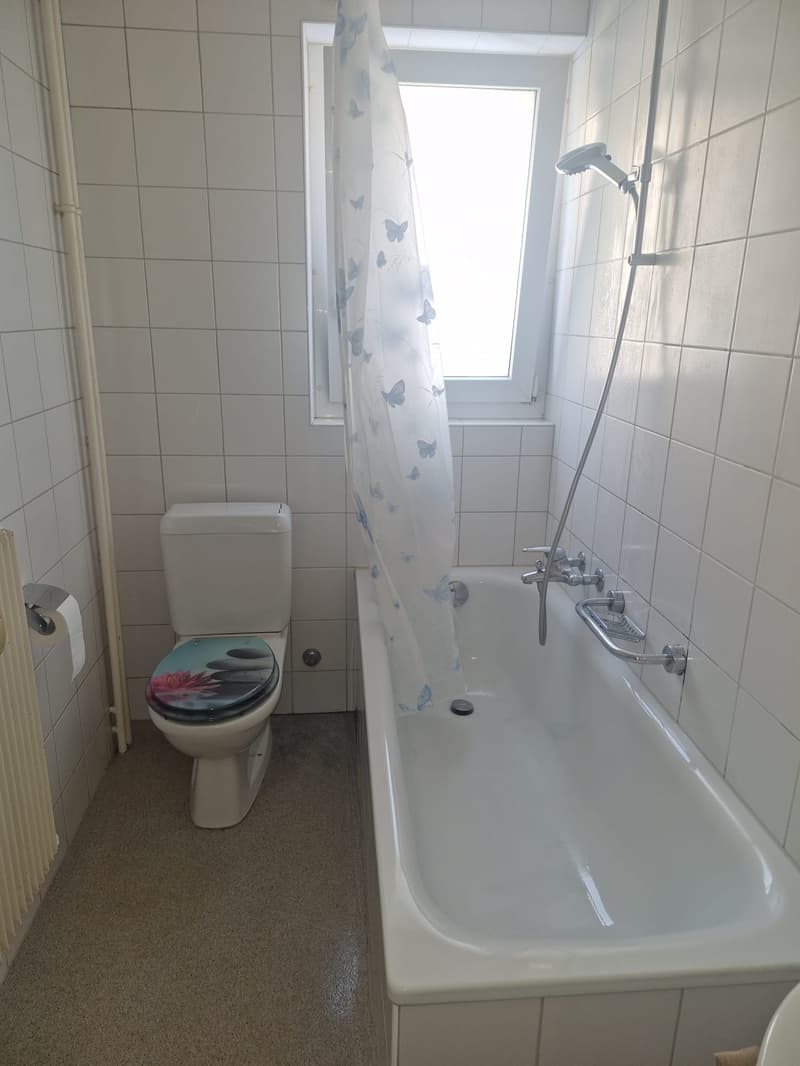 Sonnige 3.5-Zimmerwohnung im Hochparterre in Aarennähe (8)
