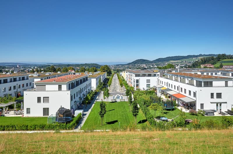 Moderne und helle 2.5-Zimmerwohnung (6)