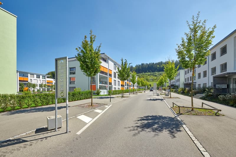 Moderne und helle 2.5-Zimmerwohnung (5)