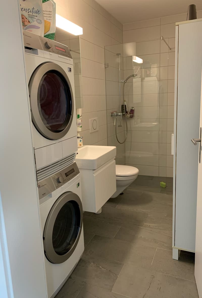 Moderne und helle 2.5-Zimmerwohnung (4)