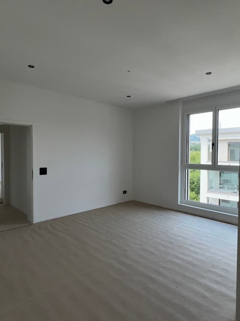 4.5-Zimmerwohnung Attika mit spektakulärer Aussicht (14)