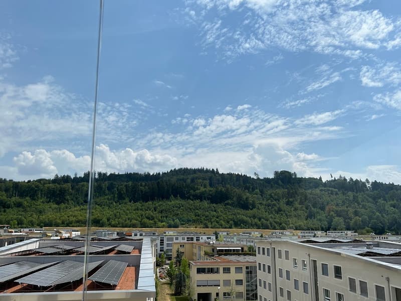 5.5-Zimmerwohnung im Eigentumsstandard -Neubau (12)