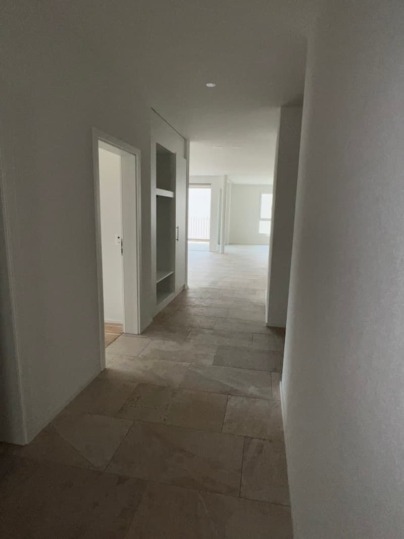 5.5-Zimmerwohnung im Eigentumsstandard -Neubau (4)