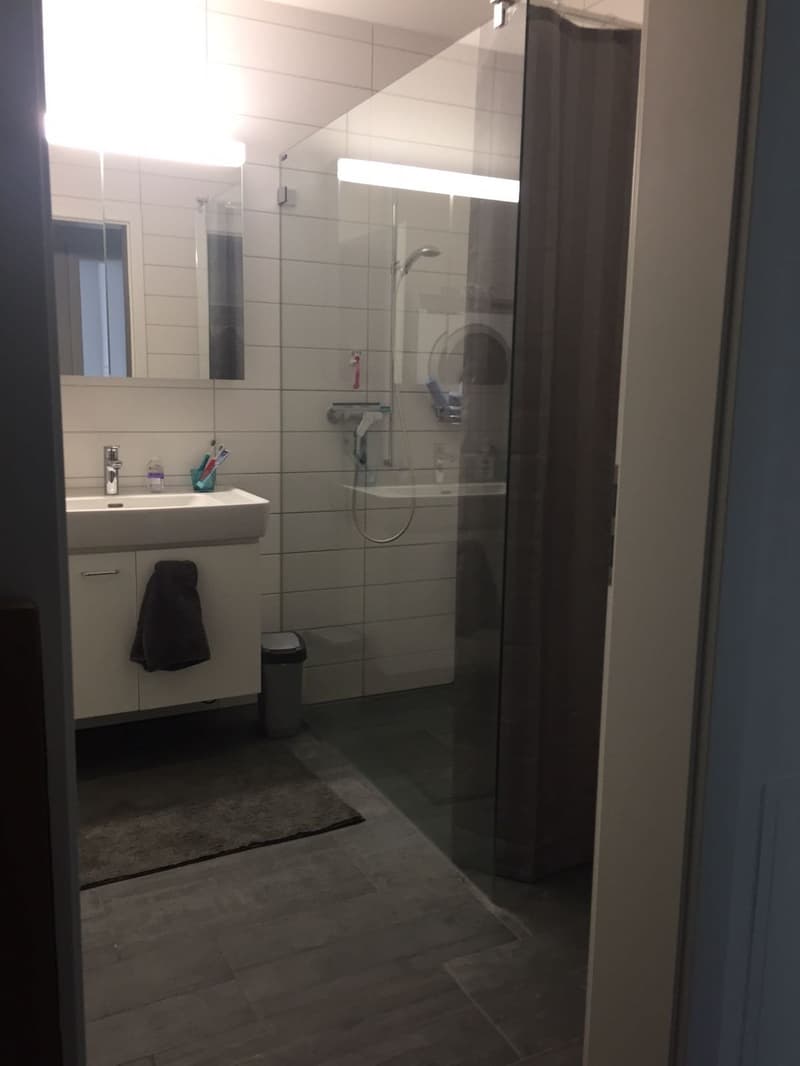 Helle 3.5-Zimmerwohnung im EG (5)