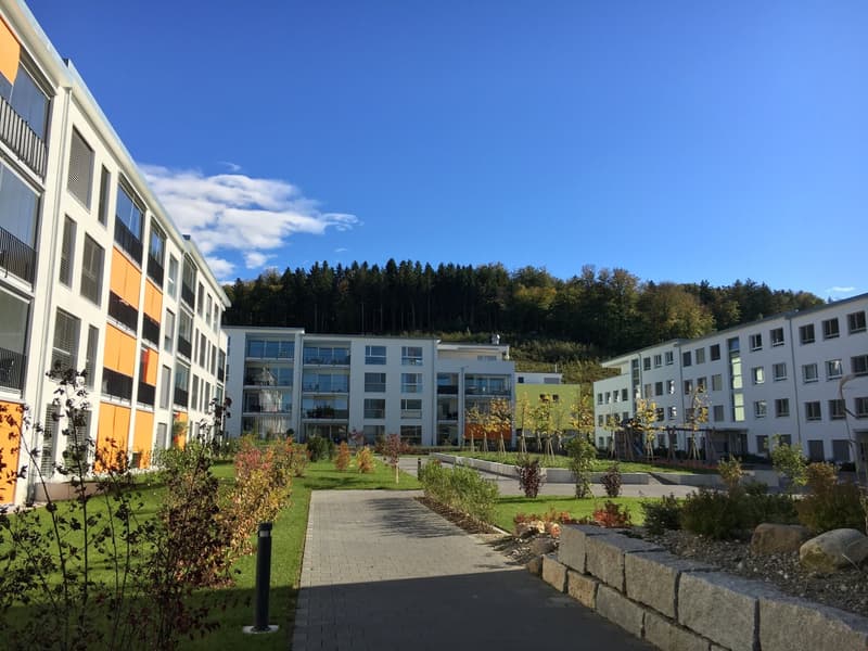 Moderne 2.5-Zimmerwohnung im Erdgeschoss (1)