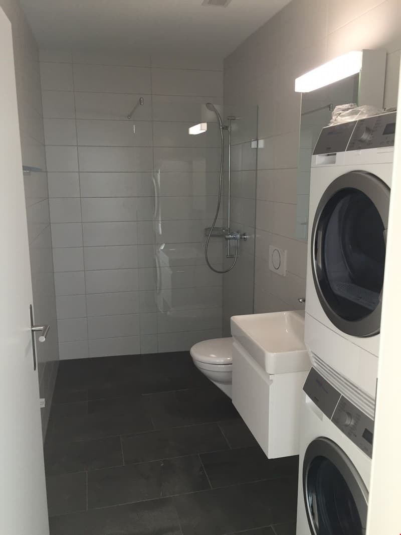 Moderne 2.5-Zimmerwohnung im Erdgeschoss (8)