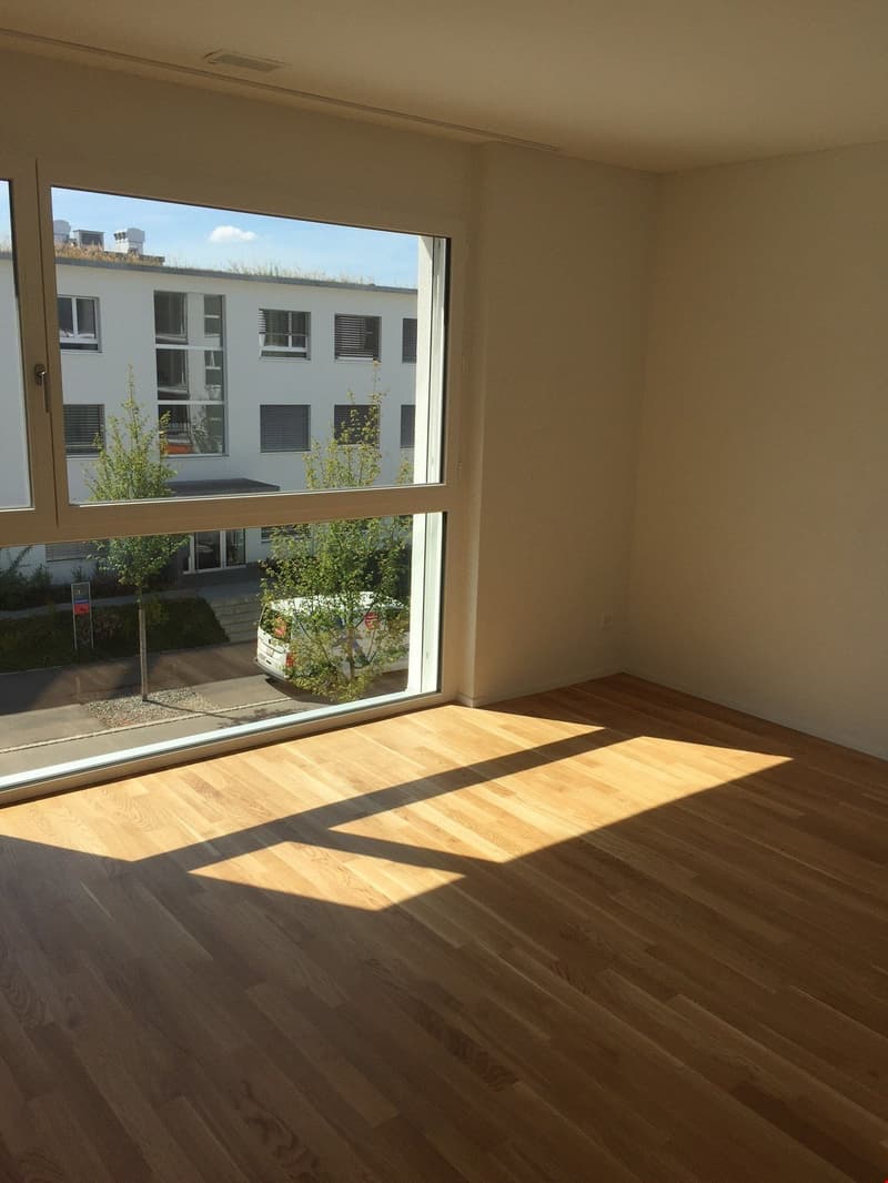 Moderne 2.5-Zimmerwohnung im Erdgeschoss (6)