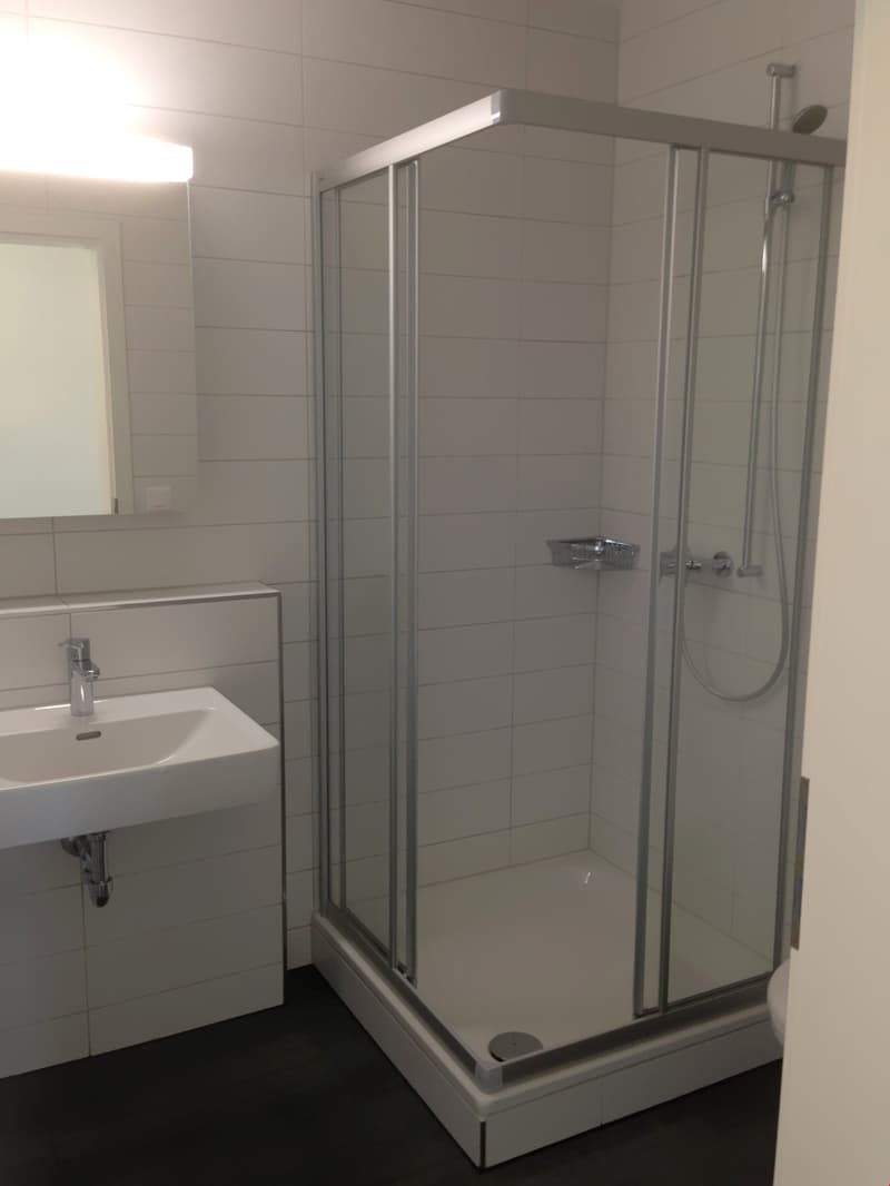 Helle und moderne 3.5-Zimmerwohnung (8)