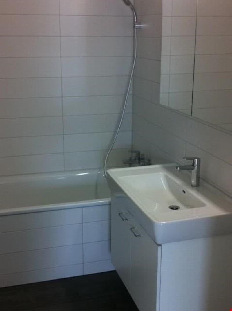 Helle und moderne 3.5-Zimmerwohnung (10)