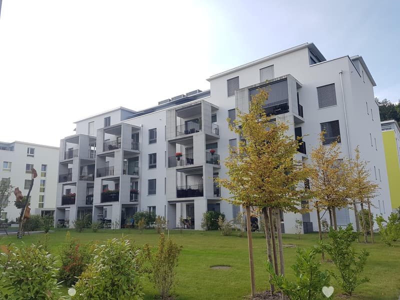 Moderne 3.5-Zimmer-Attika-Wohnung (1)