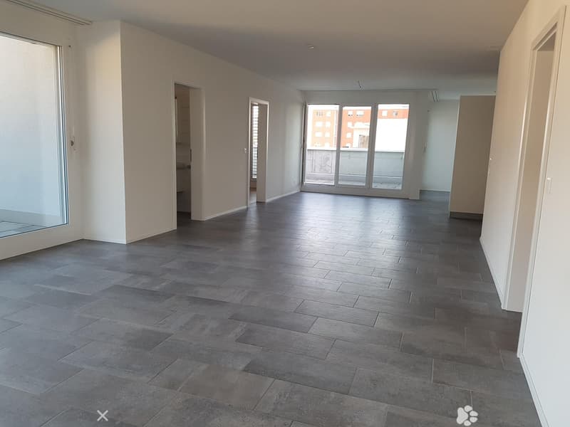 Moderne 3.5-Zimmer-Attika-Wohnung (2)
