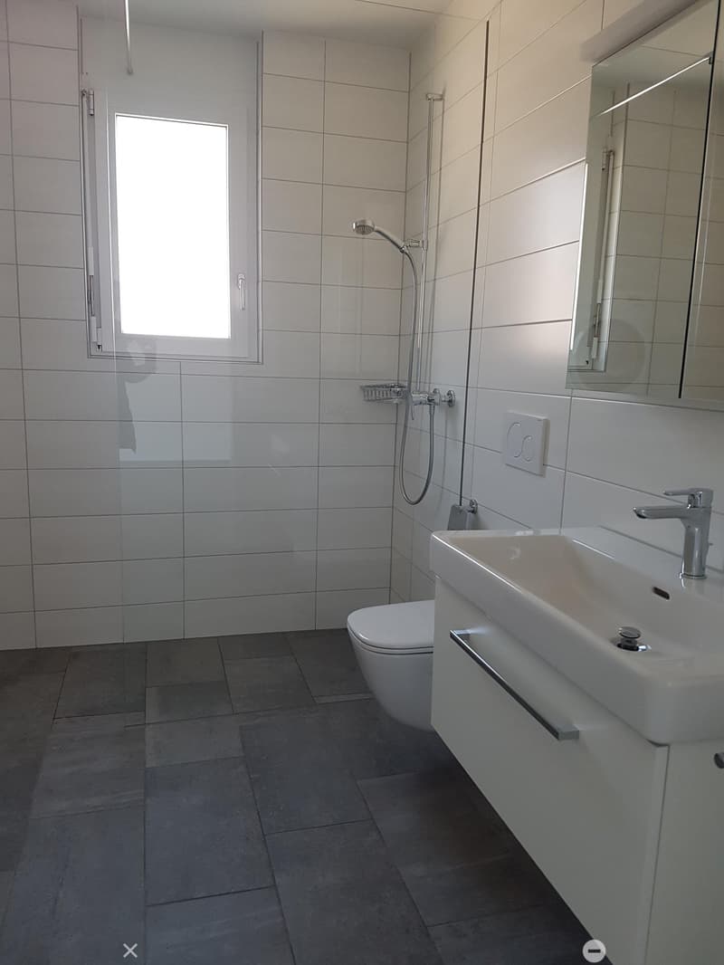Moderne 3.5-Zimmer-Attika-Wohnung (6)