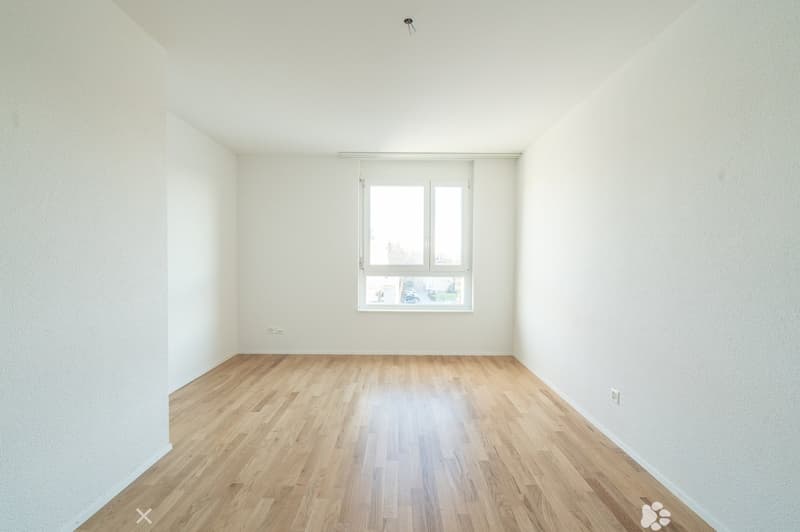 4.5-Zimmer-Attika-Wohnung (2)