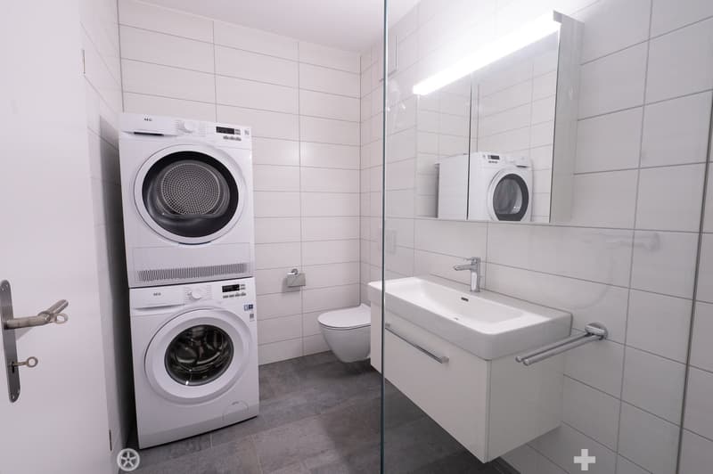 4.5-Zimmer-Attika-Wohnung (6)