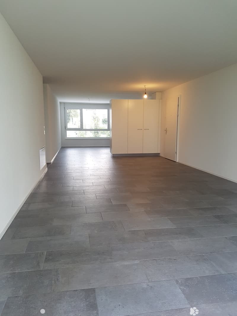 Moderne 3.5-Zimmer-Erdgeschosswohnung (3)